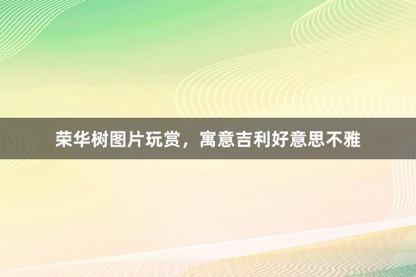 荣华树图片玩赏，寓意吉利好意思不雅