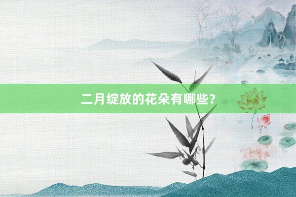 二月绽放的花朵有哪些？