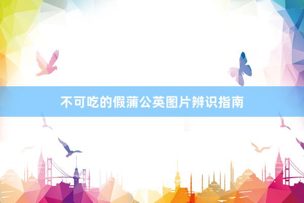 不可吃的假蒲公英图片辨识指南